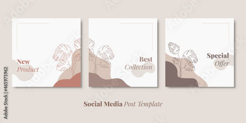 Sale banner social media post template with trendy striped leaves. Nature vector background square with pastel color.
