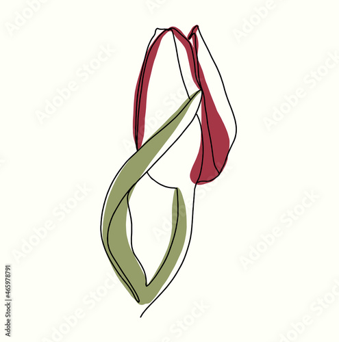 Tulip mono line illustration
