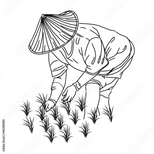 vector. Asian farmers working on Field. Hand drawn illustration. Rice harvest.