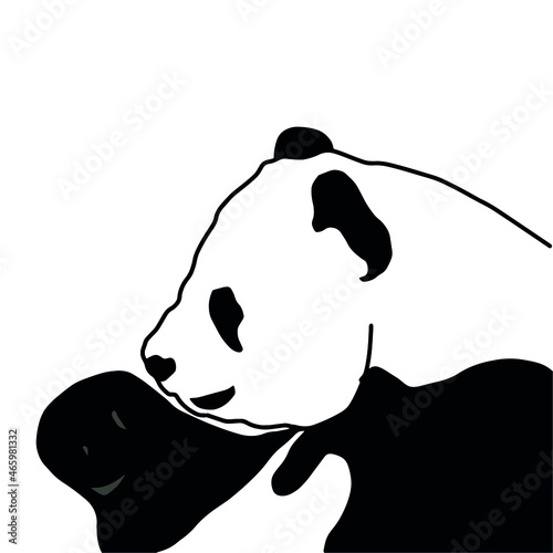 Panda Animal Vector Illustration Design