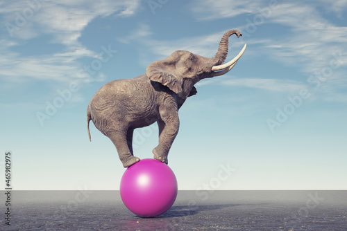 Elephant on a sphere. photo