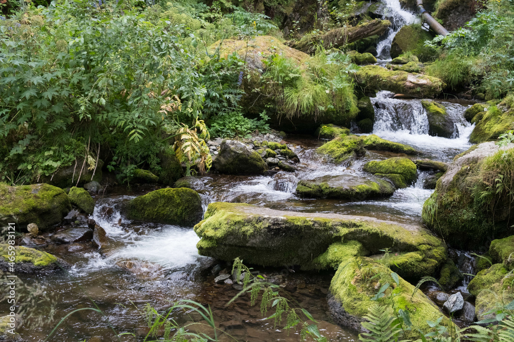 Cascading down a small mountain stream, the water runs over basalt boulders. A small waterfall runs through the moss.