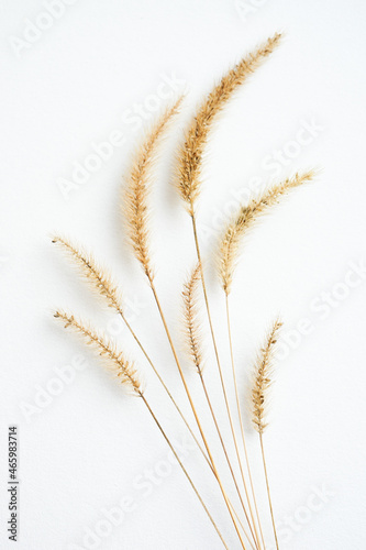 Botanical floral composition with herbs on white textured table. Art card.