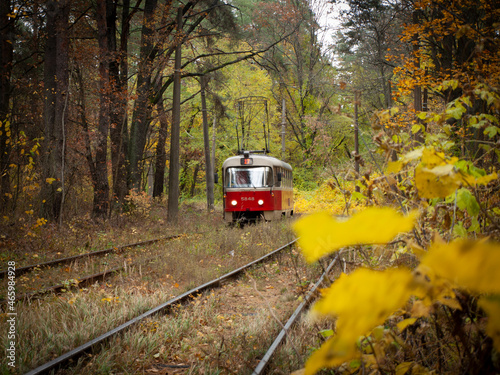 Red tram travels through the autumn forest. Sunny weather in autumn park