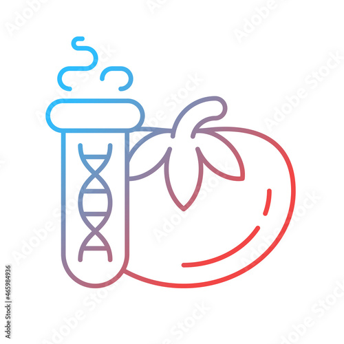GMO testing gradient linear vector icon. Food genetic modification detection. DNA and protein based examination. Thin line color symbol. Modern style pictogram. Vector isolated outline drawing