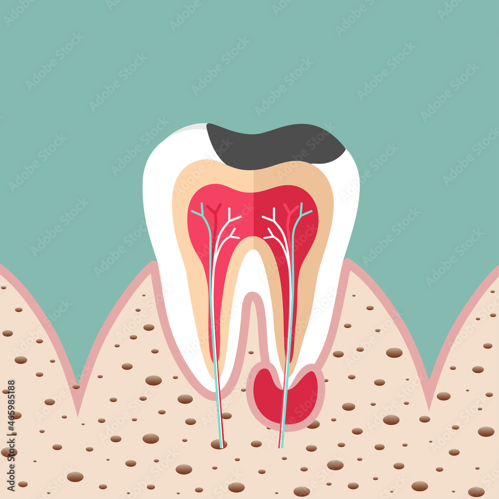 Human teeth. Dental care background. Vector illustration