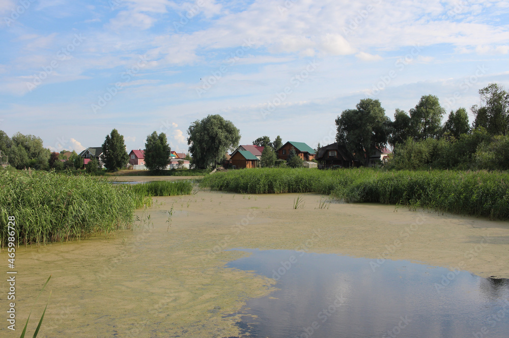 a lake with algae a swampy pond for tourists to relax houses on the shore landscape