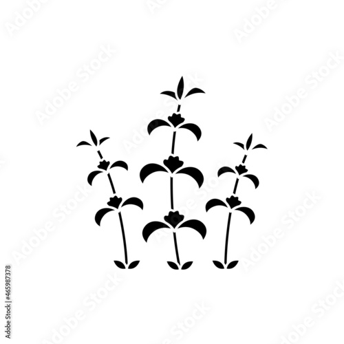 Melissa olor line icon. Essential oils. Pictogram for web page, mobile app, promo.