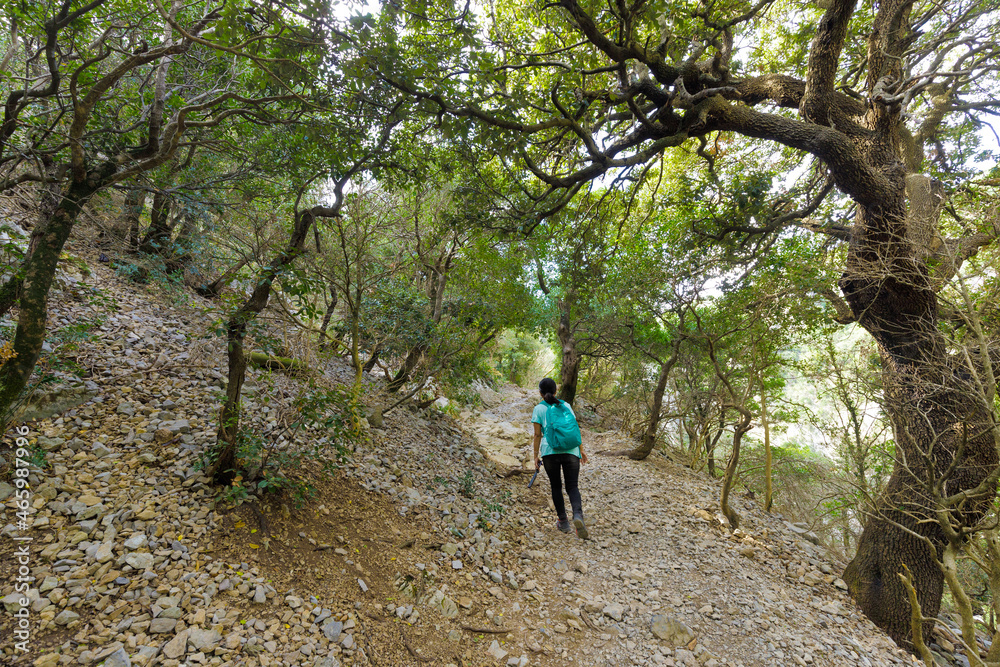 Young woman walking in forest