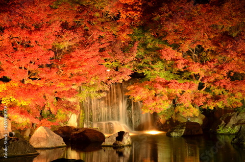 【兵庫県】姫路市・好古園の紅葉