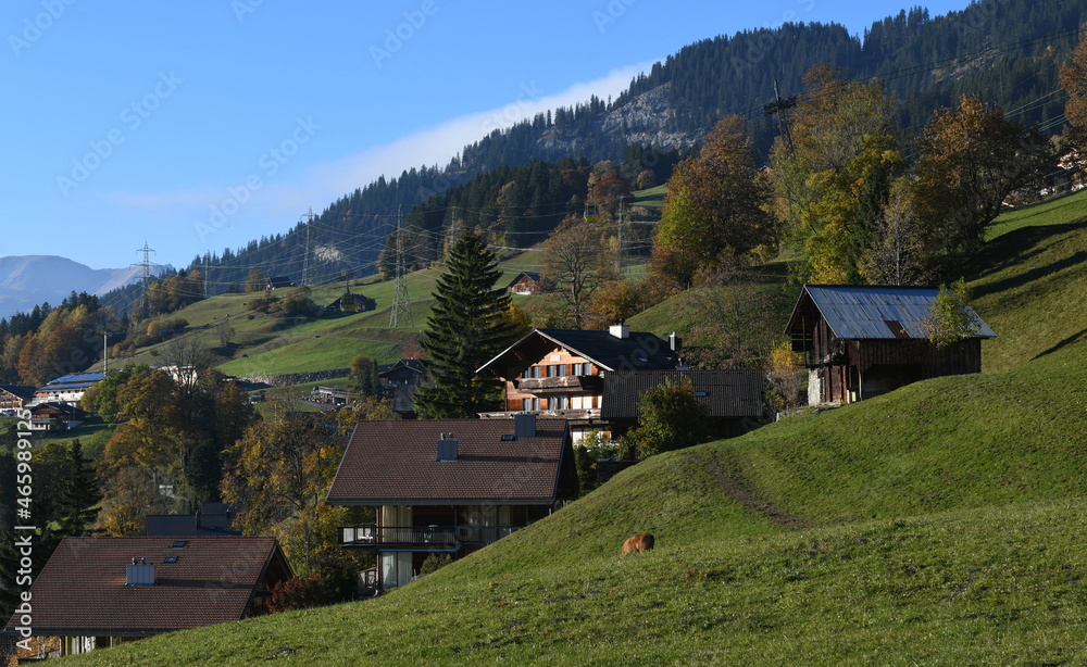 alpes bernoises...haslberg alpes bernoises...haslberg