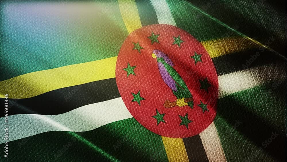 Vidéo Stock Dominica flag is waving 3D animation. Dominica flag waving