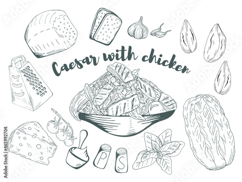  Caesar Salad served on plates with ingridients hand drawn with contour lines on white background