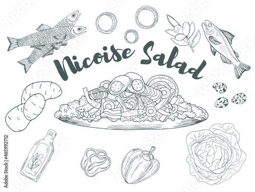 Nicoise Salad  served on plates with ingridients hand drawn with contour lines on white background