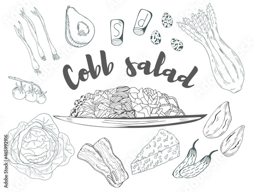 Cobb Salad served on plates with ingridients hand drawn with contour lines on white background