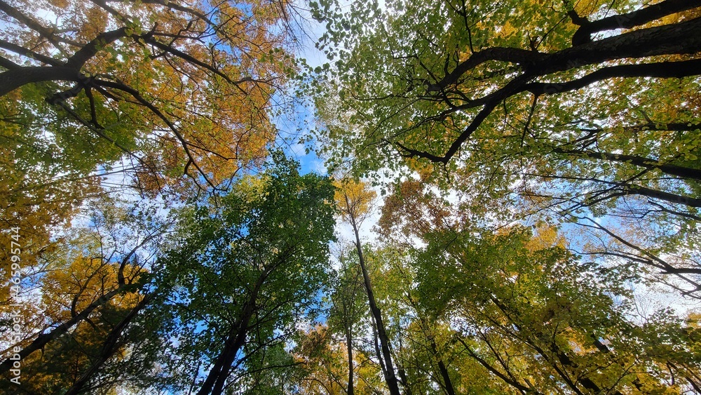 Fototapeta premium Fall Foliage and Lake Color explosion