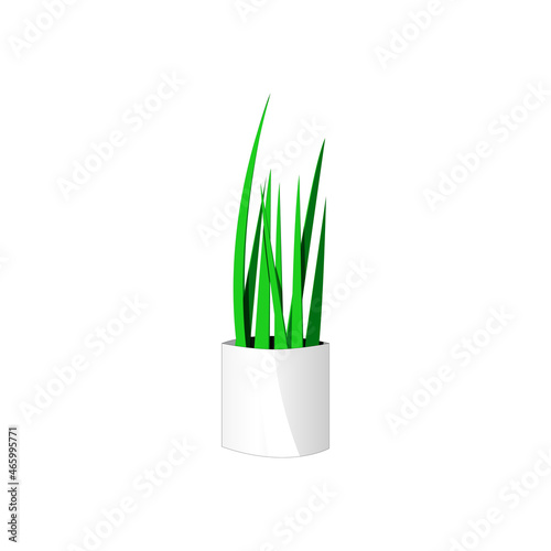 Fototapeta Naklejka Na Ścianę i Meble -  Indoor plant in a pot on isolated background. Cartoon style. Green natural decor for home and interior.