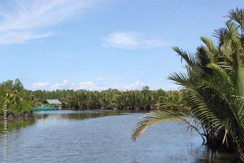 palm trees on the shore of the sea