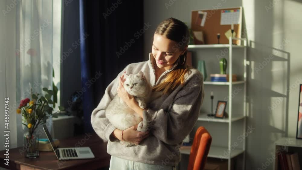 Woman holding cat and petting. Female owner stroking grey kitten, hugging in living room. Furry pedigreed pet relaxing and purring. Smiling student and happy domestic animal together at home. Woman holding cat and petting. Female owner stroking grey kitten, hugging in living room. Furry pedigreed pet relaxing and purring. Smiling student and happy domestic animal together at home.