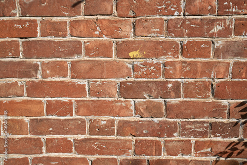 Old brick wall  old texture of stone blocks closeup