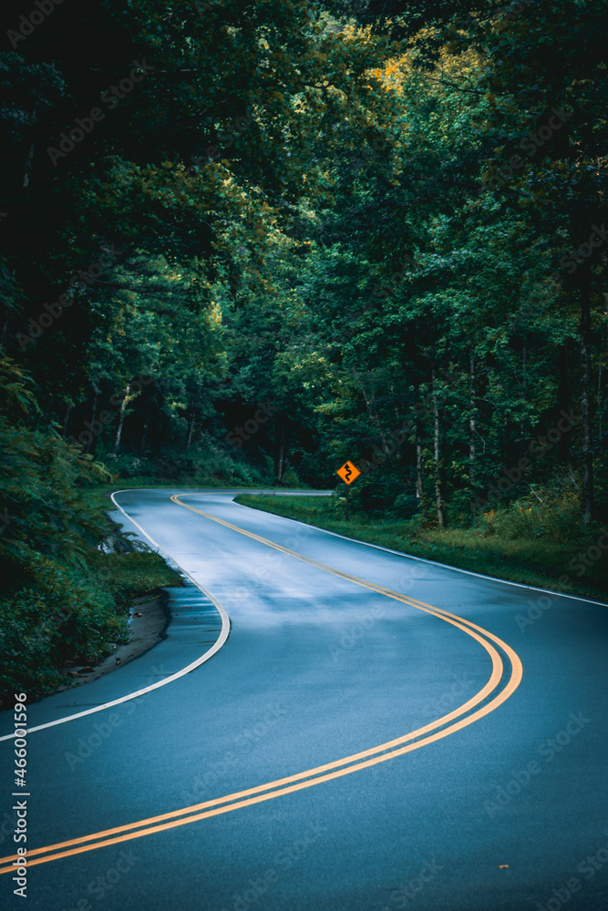 Fototapeta premium driving on the road