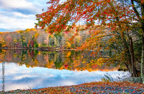 Photo Fall Foliage in the Poconos in Pennsylvania