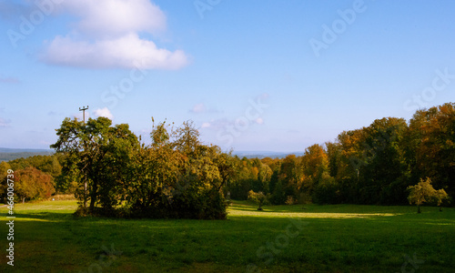 Herbstwiese