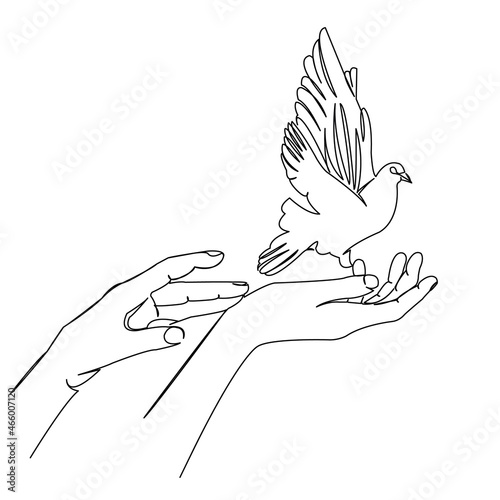 hands with dove