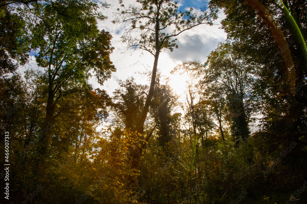 Obraz premium Herbsthimmel