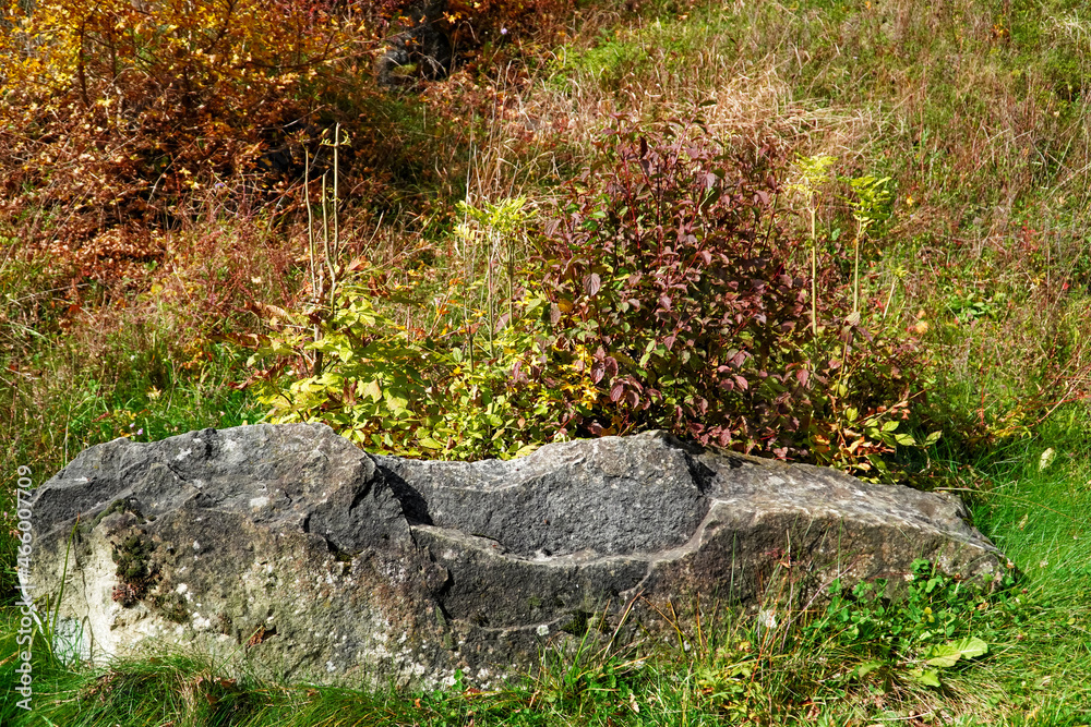 tree in the rock, multicolored rock, big rocks, autumn on the rock tree in the rock, multicolored rock, big rocks, autumn on the rock