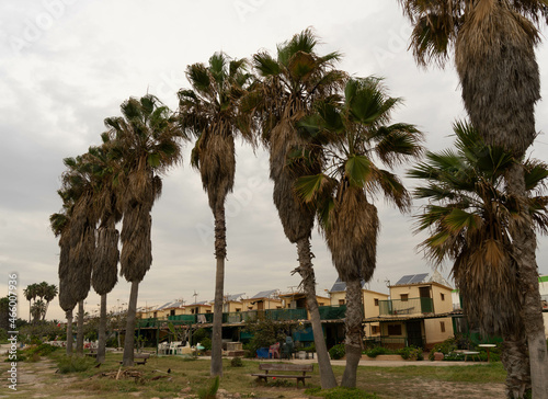 Cabañas de pescadores en Alboraya, Valencia photo