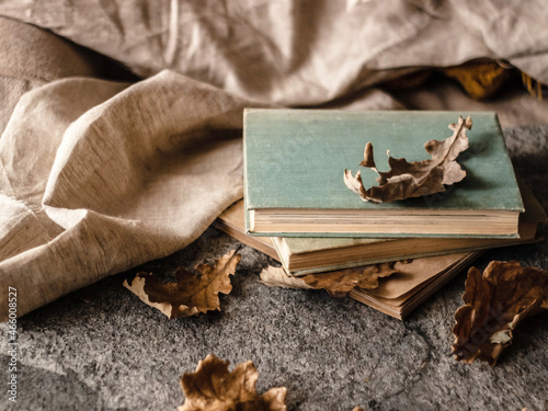 old books and dry oak leaves on a stone background