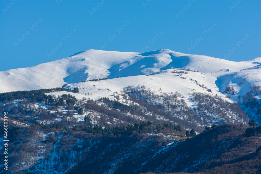 Beautiful winter scene with forest mountains