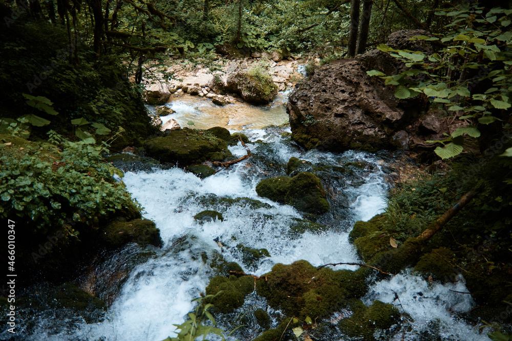 Landscape, mountain river and forest, water flowing over rocks, plants and greenery by the stream Landscape, mountain river and forest, water flowing over rocks, plants and greenery by the stream