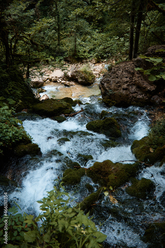 Landscape  mountain river and forest  water flowing over rocks  plants and greenery by the stream