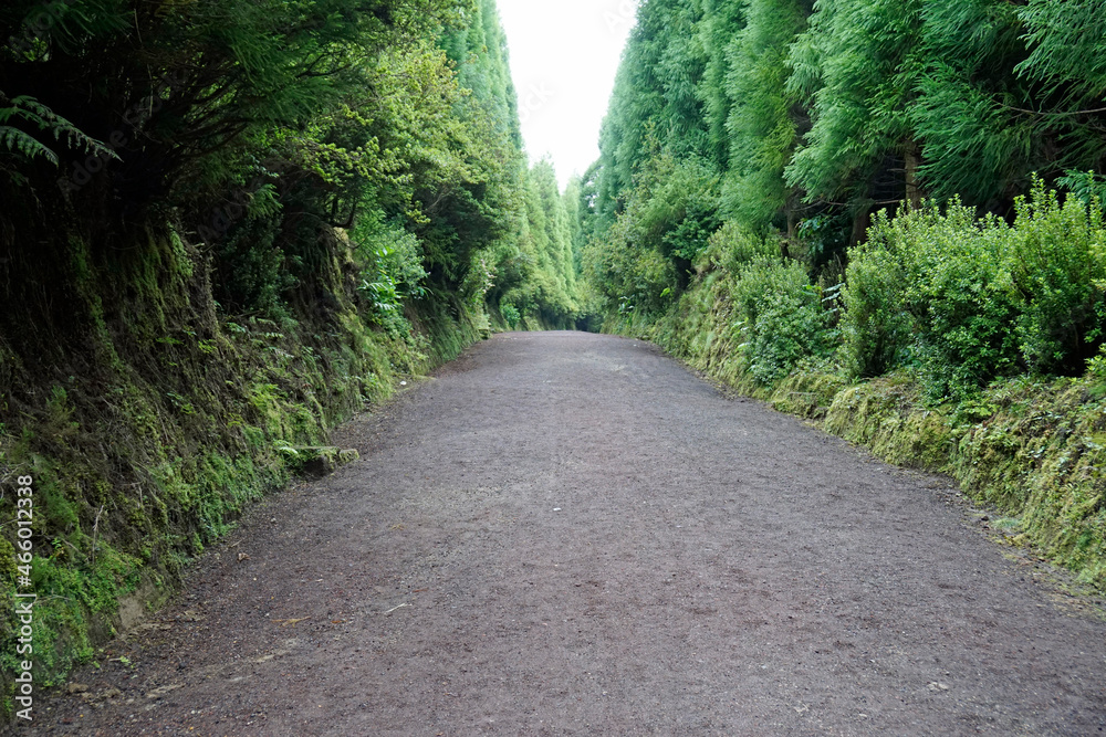 Fototapeta premium hiking trail at cidade lakes on azores islands