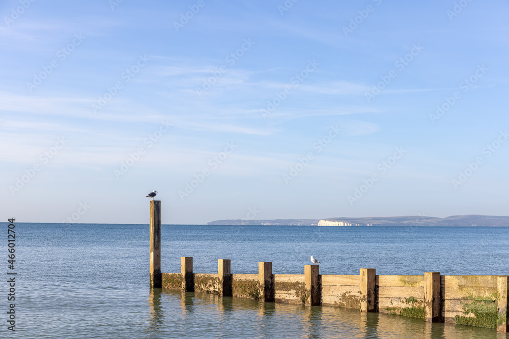 A scenic view of a wooden groyne with a seagull standing at the end of it with a majestic blue sea and white hilly cliffs in the background under a majestic blue sky and some white clouds A scenic view of a wooden groyne with a seagull standing at the end of it with a majestic blue sea and white hilly cliffs in the background under a majestic blue sky and some white clouds