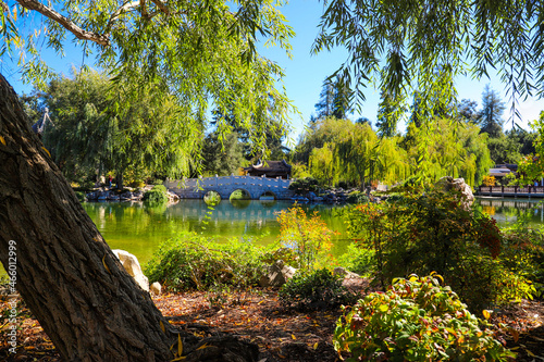 a gorgeous shot of the stone bridge with 3 circles over the green lake surrounded by lush green and autumn colored trees and plants at Huntington Library and Botanical Gardens in San Marino California photo