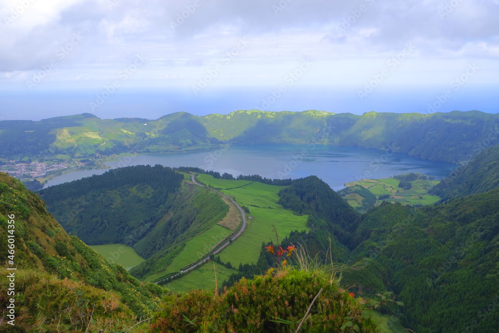 Fototapeta premium SAMSUNG CAMERA PICTURES