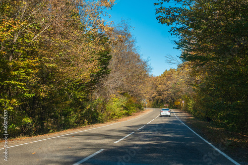 White cab car on a deserted country road. Yellow-green forest along the edges of the road. Blue sky in the background