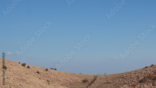 I wonder what the difference between the winter volcanic cone of Jeju Island and the hill is.  