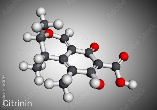 Citrinin molecule. It is antibiotic and mycotoxin from Penicillium citrinum. Molecular model. 3D rendering photo