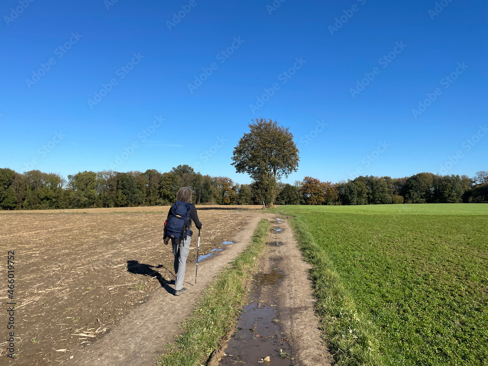 Obraz premium Hiking around Valkenburg