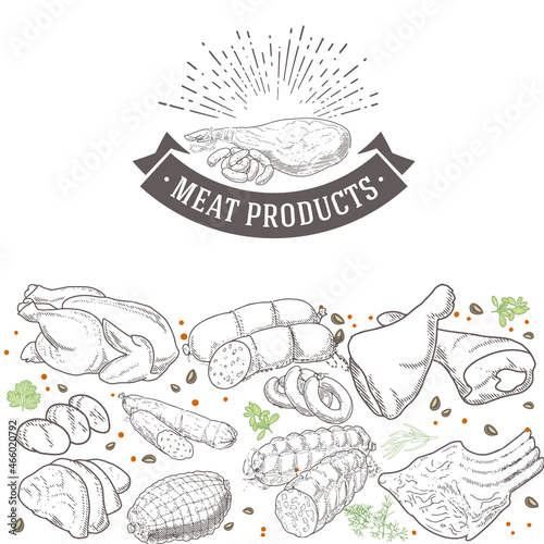 Set of meat products and meat delicacies. Sausages, ham, bacon, lard, salami in sketch style.