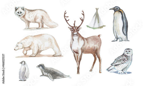 Deer animals of the north christmas new year houses watercolor hand-drawn illustration. Print textile vintage realism owl scribe polar bear