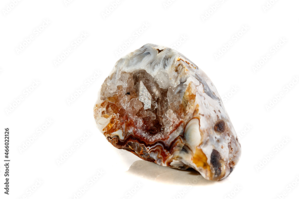 Macro mineral stone agate kidney gerbera on white background close up Macro mineral stone agate kidney gerbera on white background close up
