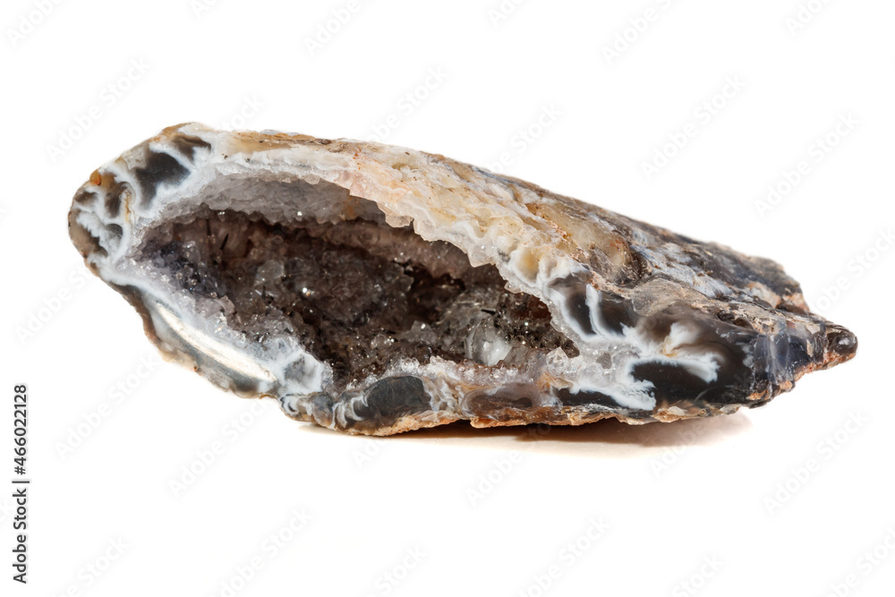 Macro mineral stone agate kidney gerbera on white background close up Macro mineral stone agate kidney gerbera on white background close up
