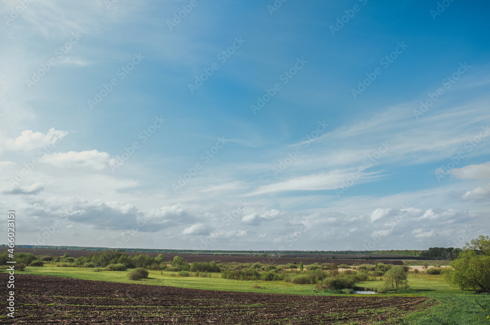 field and beautiful landscape on a summer day field and beautiful landscape on a summer day