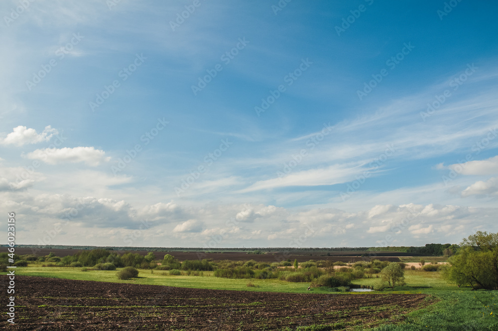 field and beautiful landscape on a summer day