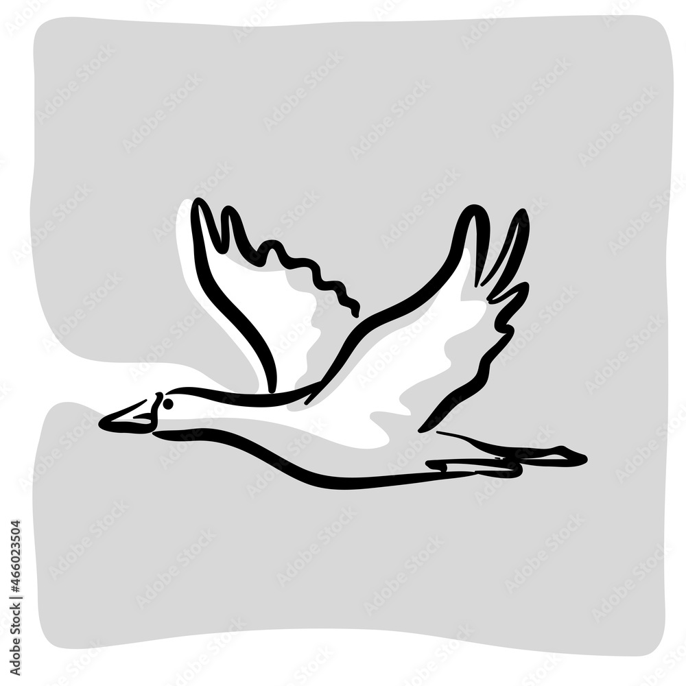 Obraz premium Goose drawing